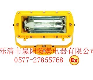 供应BFZH6100外场防爆泛光灯